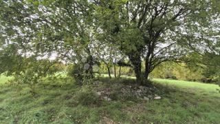 Površina stavbe 574 m2 + kmetijska zemljišča 10325 m2 v Valturi