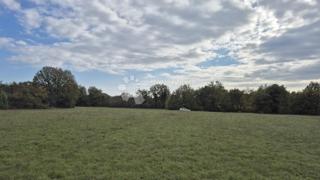 Kmetijsko zemljišče Pusti, Svetvinčenat, 8.182m2