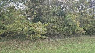 Kmetijsko zemljišče Pusti, Svetvinčenat, 8.182m2