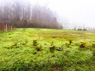 Zazidljivo zemljišče Ivanec, 917m2