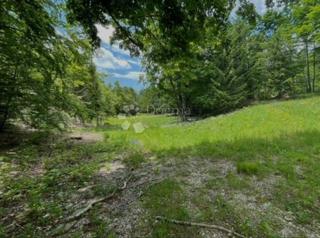 Zemljišče Bribir, Vinodolska Općina, 66.147,82m2