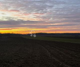 Zazidljivo zemljišče Miklavec, Podturen, 3.176m2