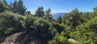 Kmetijsko zemljišče Potomje, Orebić, 4.500m2