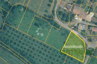 Zazidljivo zemljišče Sutivanac, Barban, 1.045m2