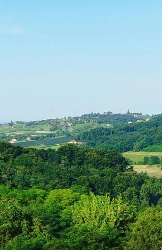 Zazidljivo zemljišče Gradiščak, Sveti Martin Na Muri, 846m2