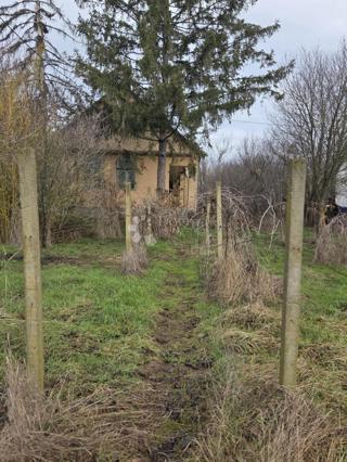 Hiša Gajić, Draž, 142m2