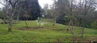 Kmetijsko zemljišče Osojnik, Vrbovsko, 40.606m2