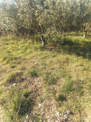 Zazidljivo zemljišče Zaton, Nin, 836m2