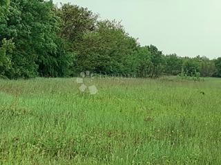 Zemljišče Vidulini, Žminj, 3.021m2