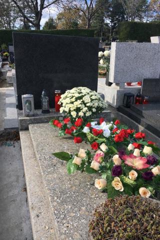 Grobnica Mirogoj, Gornji Grad - Medveščak, 6m2