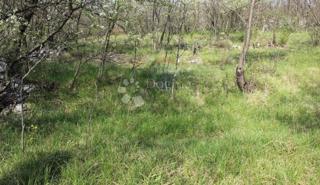 Kmetijsko zemljišče Kraljevica, 1.249m2