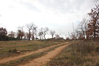 Zemljišče Barbariga, Vodnjan, 4.527m2