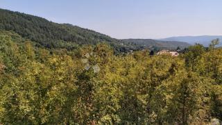 Zemljišče Labin, 1.000m2
