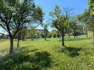 Zemljišče Londžica, Našice, 12.209m2