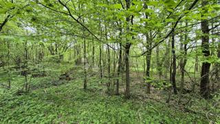 Kmetijsko zemljišče Brušane, Gospić - Okolica, 6.000m2
