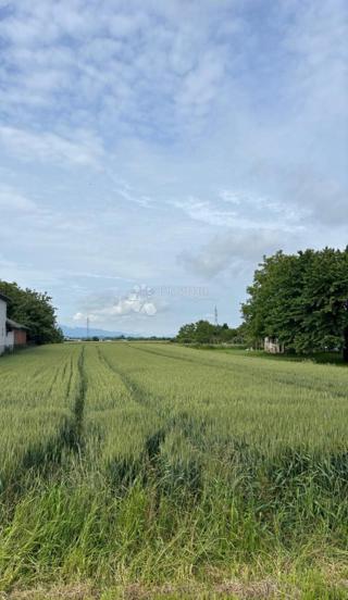 Kmetijsko zemljišče Gornji Kućan, Varaždin - Okolica, 4.144m2