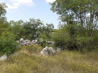 Zemljišče Bale, 42.926m2