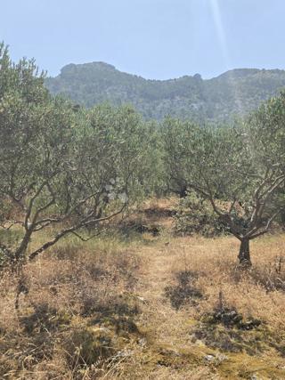 Zazidljivo zemljišče Hvar, 899m2