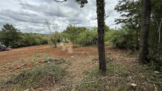 Zazidljivo zemljišče Barban, 938 m2