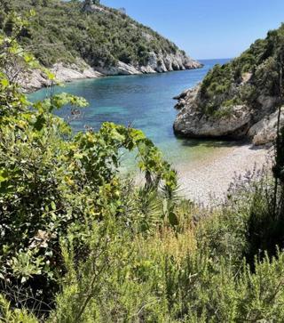 Kmetijsko zemljišče Srednje Selo, Šolta, 8.723m2