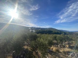 Kmetijsko zemljišče Dol, Stari Grad, 1.349m2