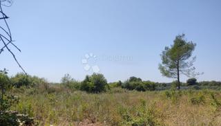 Kmetijsko zemljišče Galižana, Vodnjan, 2.062m2
