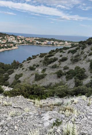 Kmetijsko zemljišče Sevid, Marina, 1.151m2