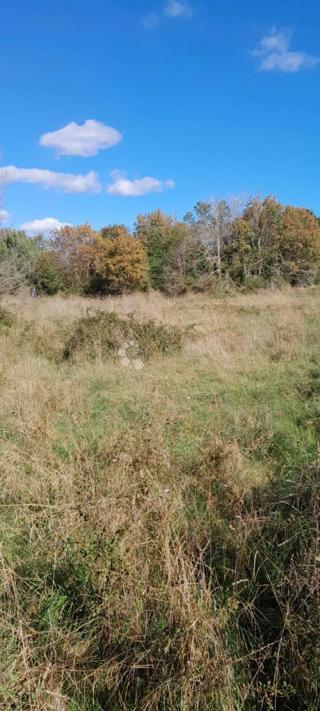 Kmetijsko zemljišče na mirni lokaciji