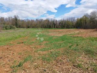 Zazidljivo zemljišče Drežnik Grad, Rakovica, 5.503m2