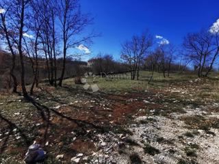 Gradbena parcela na mirni lokaciji z idejno zasnovo