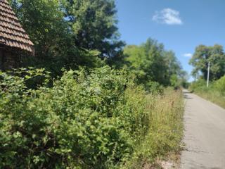 Hiša Čremušnica, Gvozd, 65m2