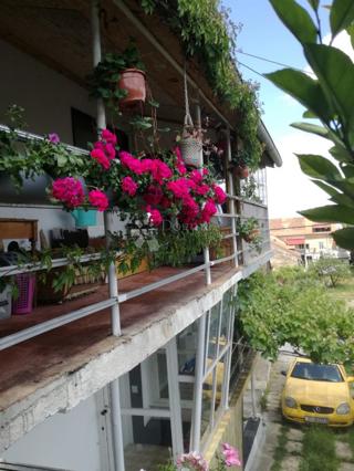 Hiša Centar, Sisak, 255m2