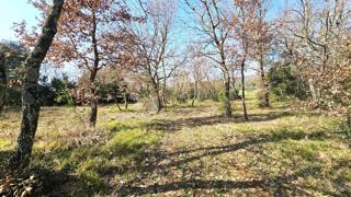 Kmetijsko zemljišče Rovinj, 19.838m2