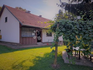 Hiša Kapelščak, Sveti Martin Na Muri, 119m2