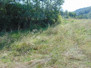 Zemljišče Mrgani, Kanfanar, 890m2