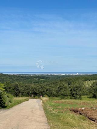 Zazidljivo zemljišče Buje, 3.906m2