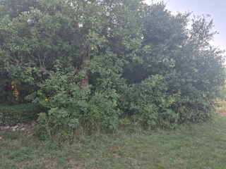 Kmetijsko zemljišče Kavran, Marčana, 1.942m2