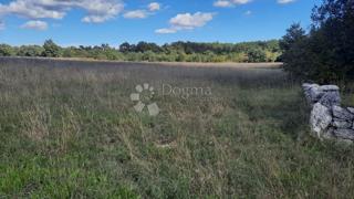 Kmetijsko zemljišče Štokovci, Svetvinčenat, 26.059m2