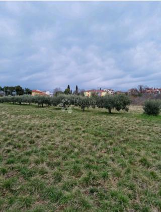 Zazidljivo zemljišče Murine, Umag, 600m2