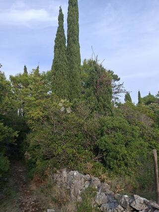 Kmetijsko zemljišče Močići, Konavle, 7.214m2