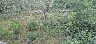 Kmetijska zemljišča v Kaliju