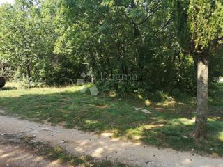 Zemljišče Čabrunići, Svetvinčenat, 5.274m2