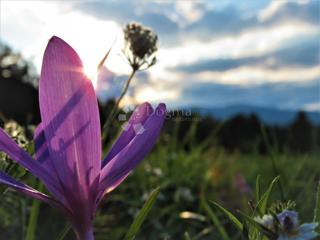 Kmetijsko zemljišče Kruge, Donji Lapac, 2.323m2