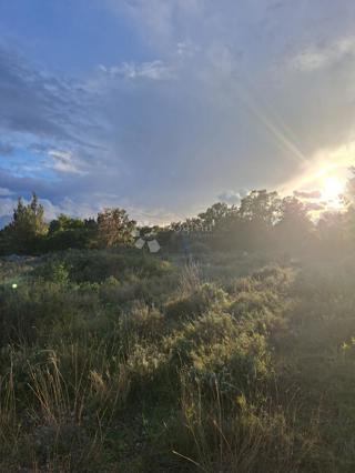 Kmetijsko zemljišče Močići, Konavle, 10.477m2