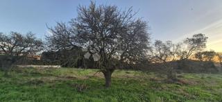 Gradbeno zemljišče 1 km od morja 