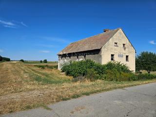 Poslovni prostor Branjina, Popovac, 273m2