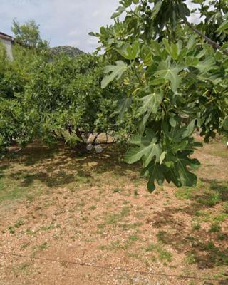 Zazidljivo zemljišče Poljica, Marina, 900m2