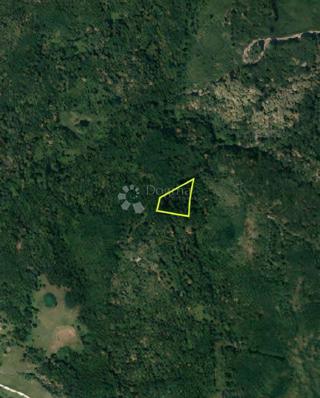 Kmetijsko zemljišče Veliki Obljaj, Glina, 4.852m2