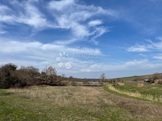 Zemljišče Buje, 15.980m2