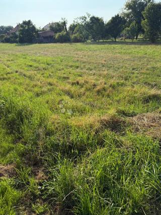 Zazidljivo zemljišče Petrijanec, 1.011m2